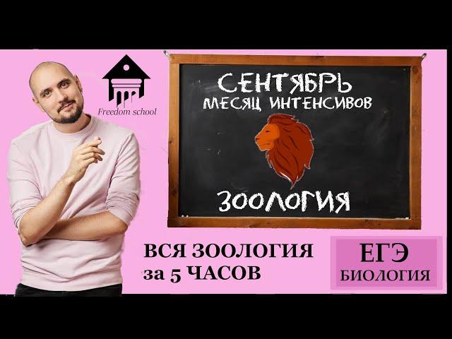 Вся ЗООЛОГИЯ за 5 ЧАСОВ! (ЧАСТЬ 1 - БЕСПОЗВОНОЧНЫЕ) |ЕГЭ БИОЛОГИЯ|Freedom|