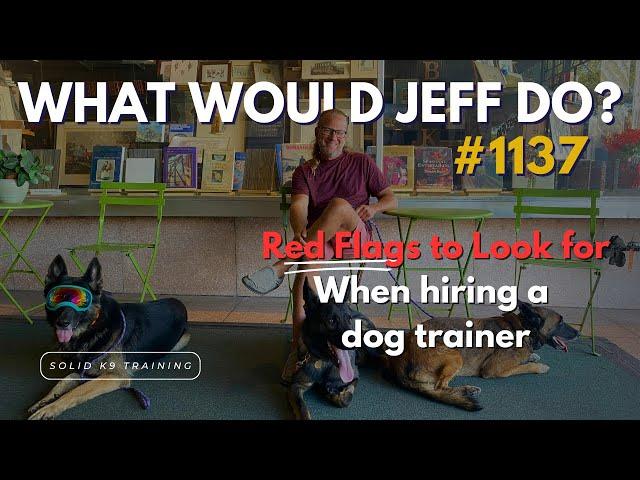 Red Flags to Look For in a Dog Trainer What Would Jeff Do? #1137 dog training q & a