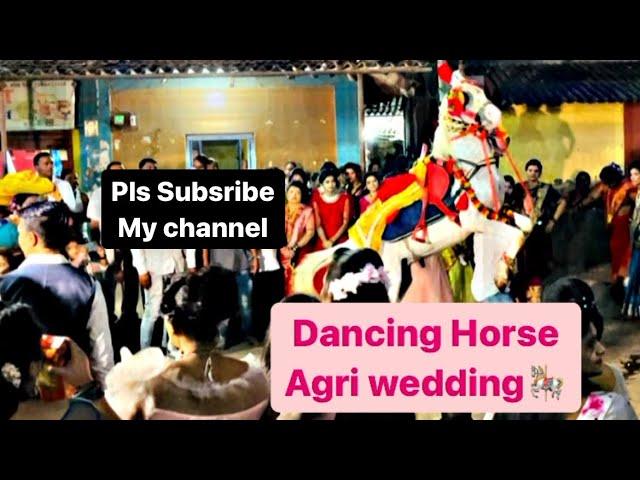Dancing horse#indian wedding#Agri Wedding