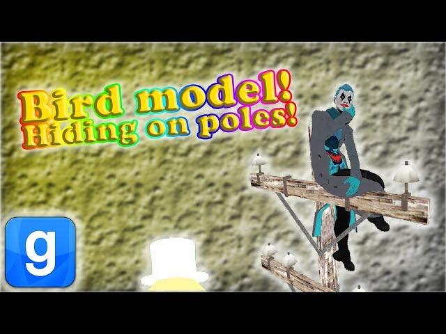 Gmod! Guess who! Bird hat! Electric pole hiding spot!