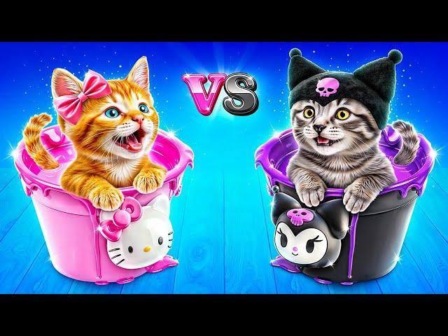 One Colored Cat House Challenge! Hello Kitty vs Kuromi