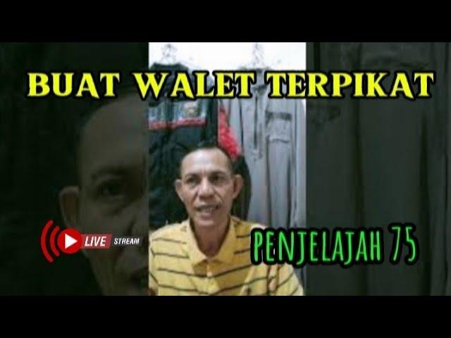 rahasia budidaya walet cepat beradaptasi dan berkeloni...