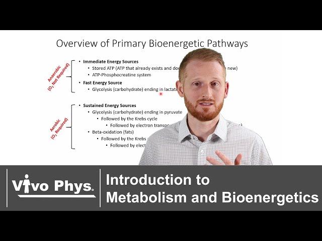 Introduction to Metabolism and Bioenergetics