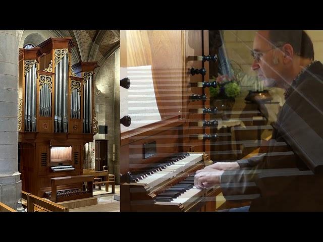 J.S. Bach Praeludium und fuge g-moll BWV 558 - Jeroen de Haan à l'orgue de  Verrières-le-Buisson