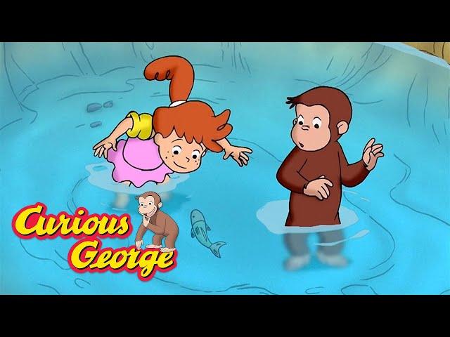 Swimming with George  Curious George  Kids Cartoon