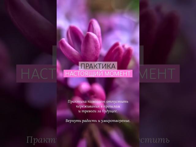 #медитация #практика #осознанность #радость #вдохновение #экхарттолле #здоровье #аффирмации #душа