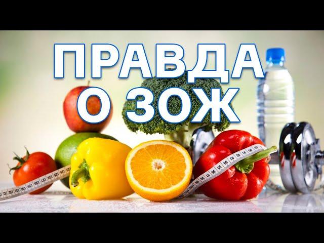 ВСЯ ПРАВДА О ЗОЖ! Необычная Лекция ВЕГМАРТ