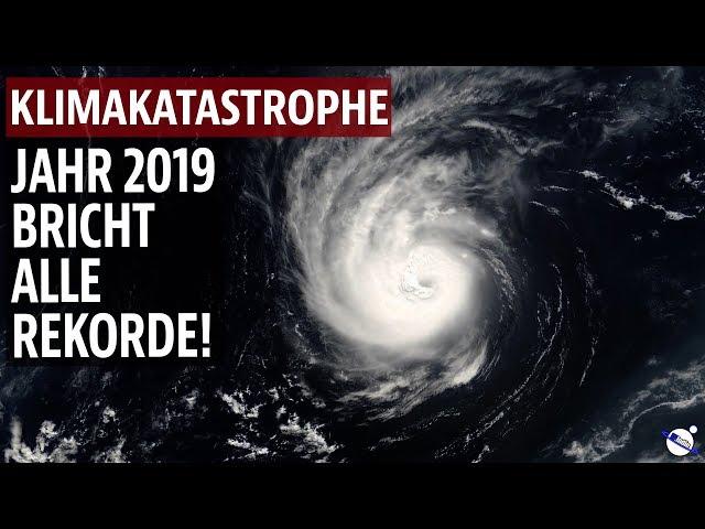 Klimakatastrophe - Jahr 2019 bricht alle Rekorde