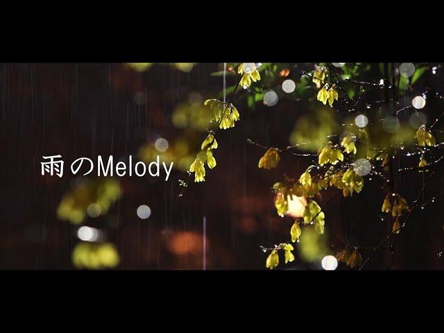 雨のMelody / KinKi Kids (cover) - nero × りょーくん