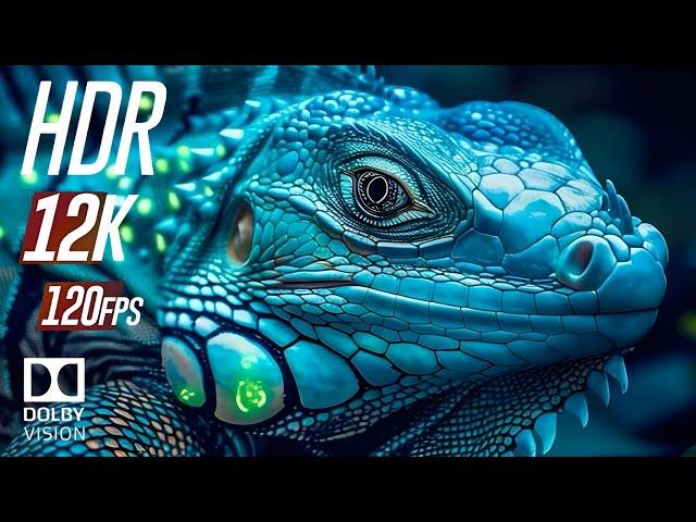 12K HDR 120fps Dolby Vision: The Most Popular Cinematic Footage in Ultra HDR | 8K ULTRA HD VIDEO