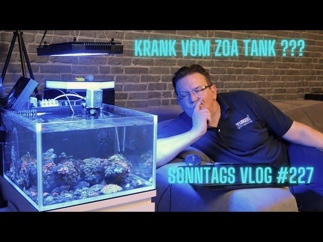 Der Meerwasseraquaristik Sonntags Vlog EP 227 Krank vom Zoa Tank ? & 4 Jahre Reef Place 