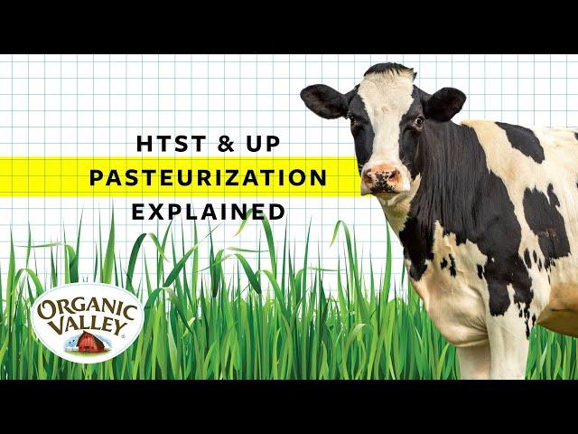 UP and HTST Pasteurization Explained | Ask Organic Valley