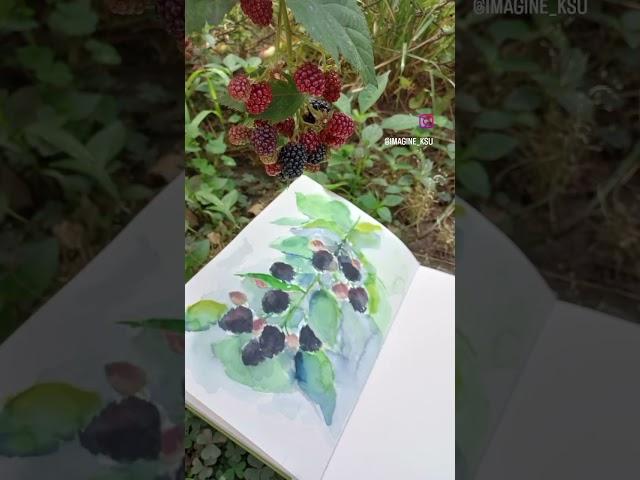 Небольшие итоги этого лета #скетч #скетчбук #sketchbook #sketching