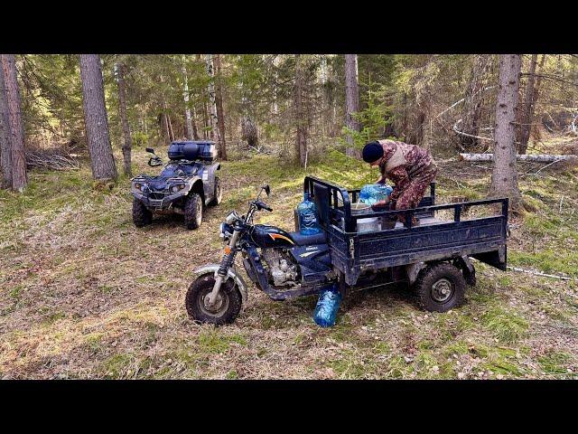 ПРОВЕРКА ПРИВАДЫ НА МЕДВЕДЯ. СЛИВАЕМ БЕРЕЗОВЫЙ СОК. СОБИРАЕМ ВАЛЕЖНИК.