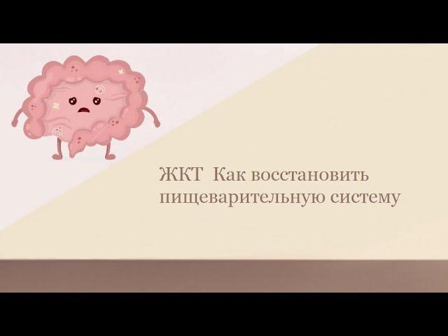 ЖКТ| Как восстановить пищеварительную систему