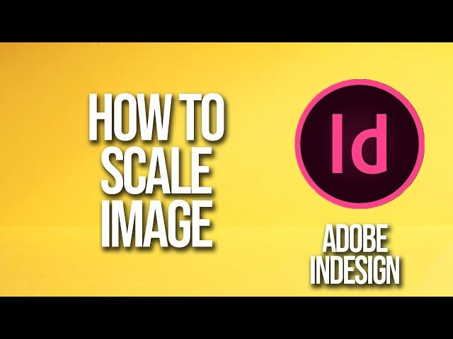 How To Scale Image Adobe InDesign Tutorial