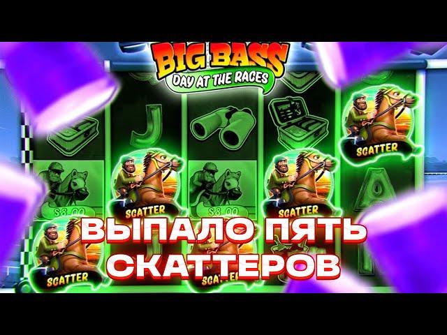 ВЫПАЛО 5 СКАТТЕРОВ В BIG BASS DAY AT THE RECES! СЛОВИЛ БОНУСКУ С ПЕРВОГО СПИНА! ЗАНОСЫ НЕДЕЛИ!
