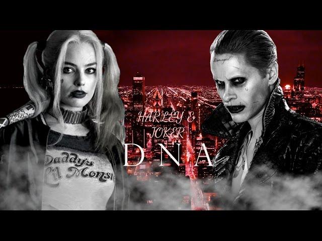 Harley Quinn & The Joker | DNA