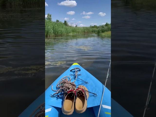 В поисках щуки  #отдых #путешествия #рыбалка