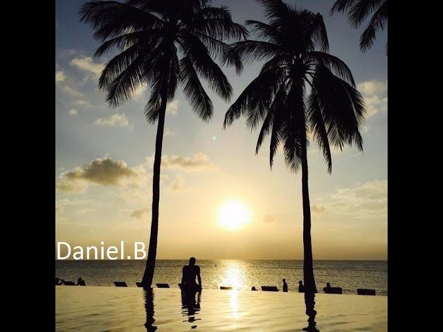 Tropical Summer Mixtape Vol. 2 - mixed by Daniel.B