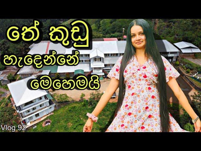 තේ බීවට හදන විදිහ දන්නවද? | Tea factory visit | Uplands tea factory| Process of tea @WolfyVlogs