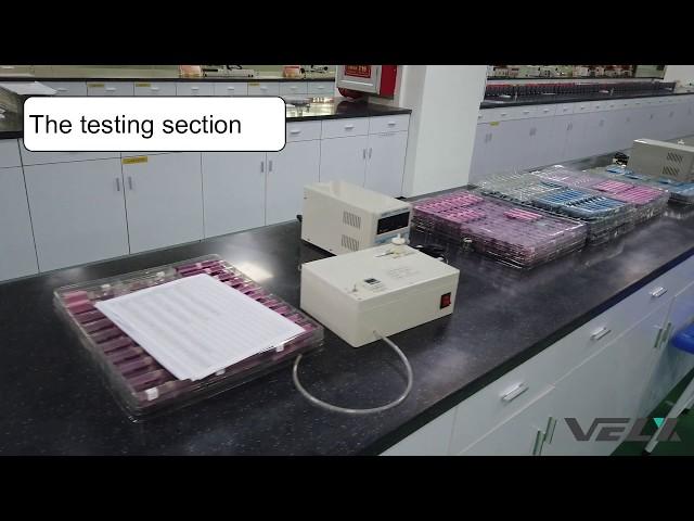 Security Check (2) and Visiting Velxtech Lab