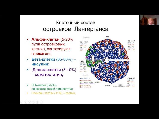 Сахарный диабет у детей