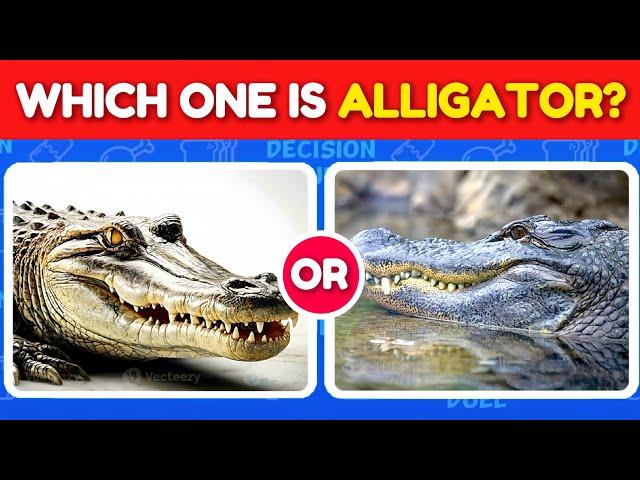 Guess the Correct Animal Quiz  | Guess The Animal Challenge | Animal Quiz