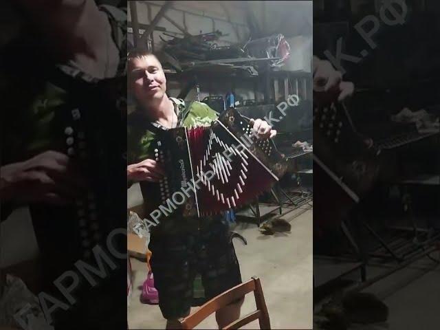Гармонист с харизмой вжаривает от души любимые и известные мелодии!