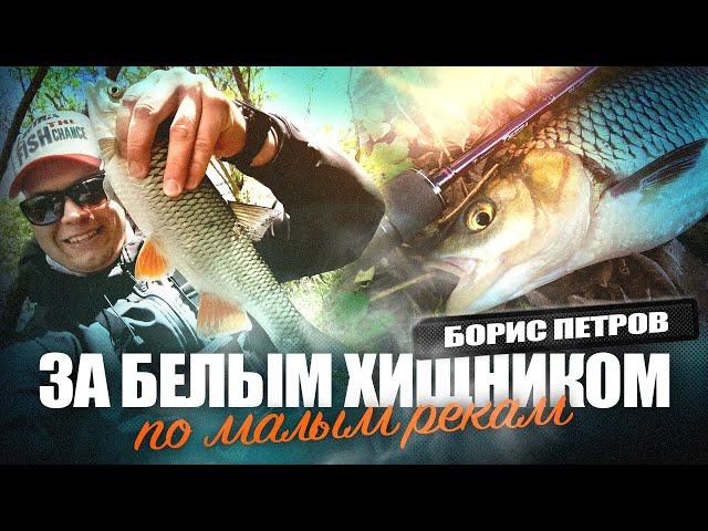 Разведка малой реки: "здоровенный язь" и голавли!