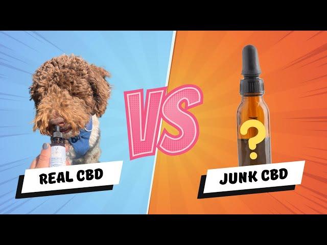 Best Dog CBD (CBD oil for dogs anxiety review)