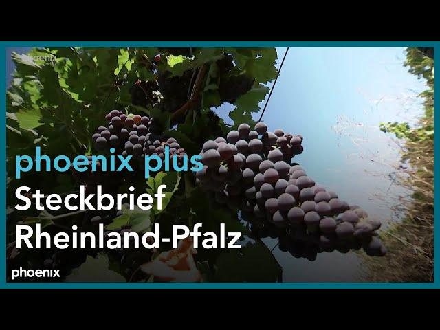 phoenix plus: Steckbrief Rheinland-Pfalz