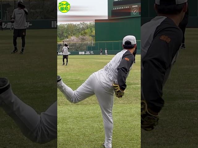 【３軍の逸材たち①】投手＆捕手＆内野手から厳選!近未来の支配下候補は…【報知プロ野球チャンネル】#巨人取材班#開幕#ジャイアンツ