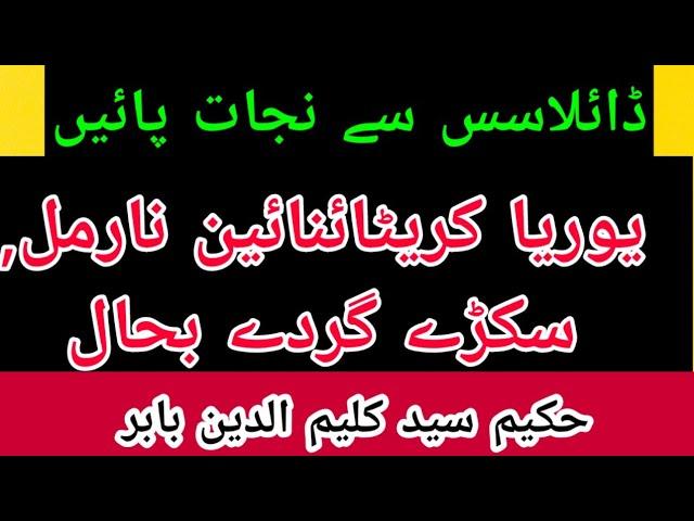 SMALL KIDNEY, UREA, CREATININE, KIDNEY FAILURE, DIALYSIS TREATMENT. HK SYED KALIM UDIN BABAR KARACHI