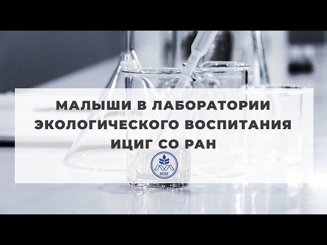 Малыши в лаборатории экологического воспитания ИЦиГ СО РАН