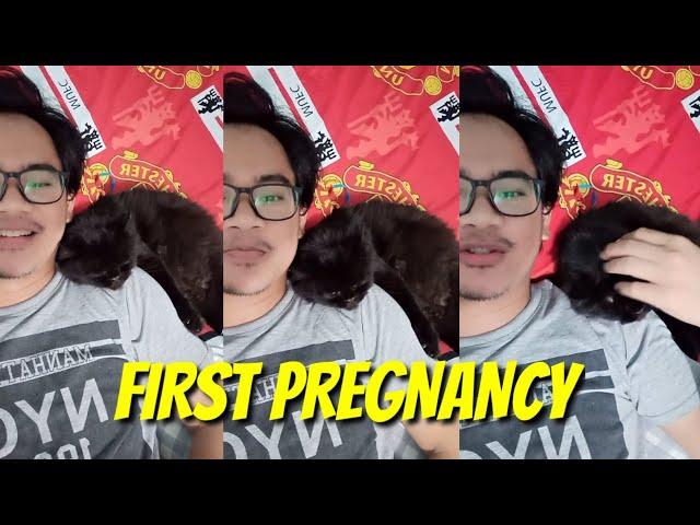 Kehamilan Pertama Kucing. So excited 