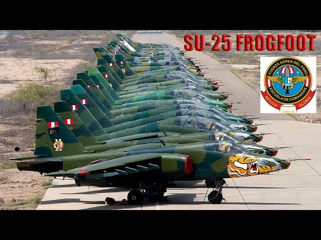 El Mitico SU-25 frogfoot  el verdadero Terror de los Tanquistas