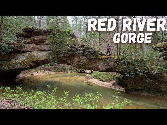 Red River Gorge - Kentucky's Most Beautiful Place! Top Places to Explore!