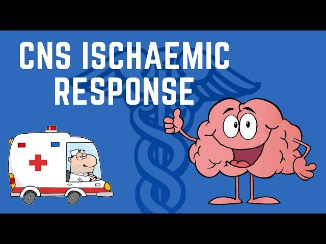 Central Nervous System Ischaemic Response explained