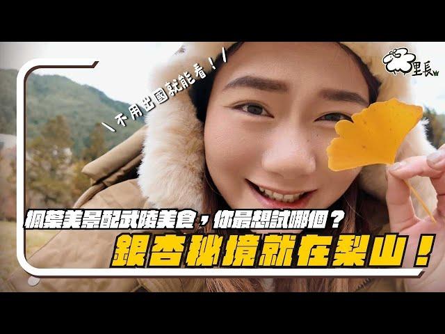 不用飛韓國！梨山銀杏、武陵農場美景美食全攻略！｜梨山 Lishan｜羊里長 Sheep GoGo