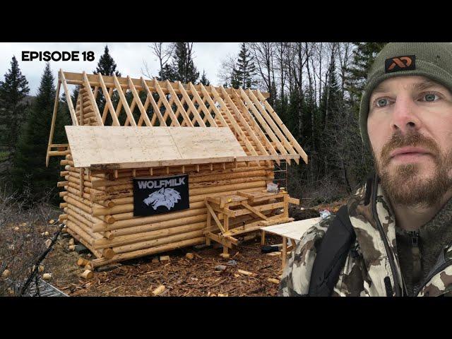 Winter Log Cabin Build on Off-Grid Homestead |EP18|