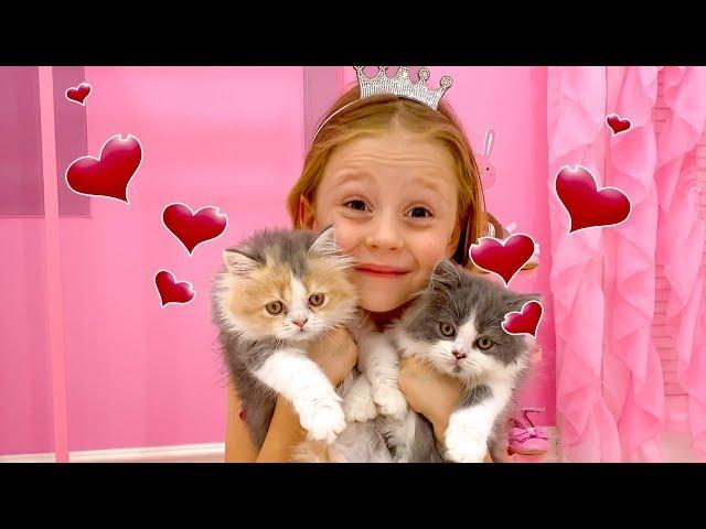 Nastya and the daily routine of the house with kittens