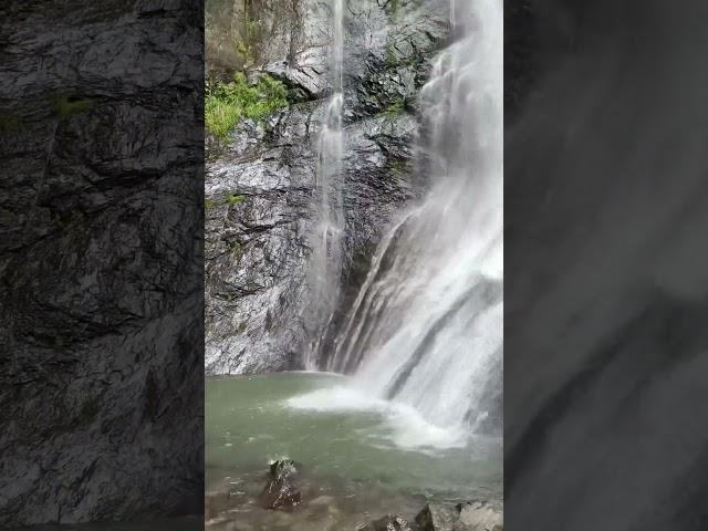 Perfect place in Georgia #batumi2023 #batumicity #georgia2023 #waterfalls #waterfall