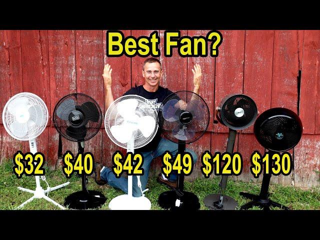 Best Fan? Let’s Find Out!