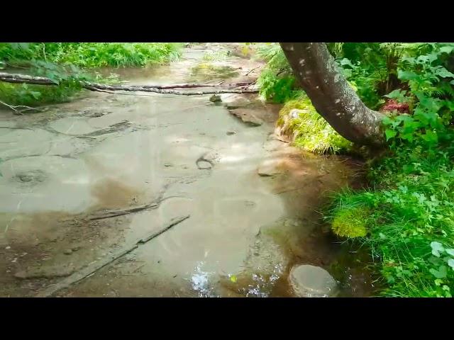 Strange Water Spring in Norway