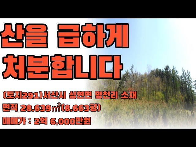 (토지291)서산시 성연면 명천리 소재 임야급매 ,가격 2억 6,000만원, 28,639㎡(8,663), 투자용으로 추천