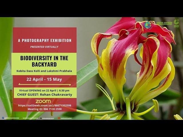 Exhibition Opening: Biodiversity in the Backyard