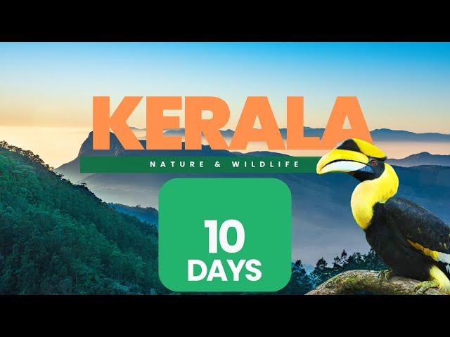 Kerala Nature & Wildlife Travel Itinerary  2024  I Best Kerala Travel Plan