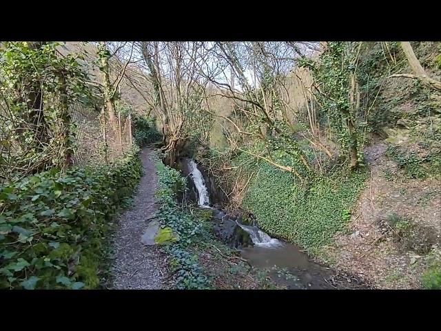 Wanderung Pulsbachklamm Rhein