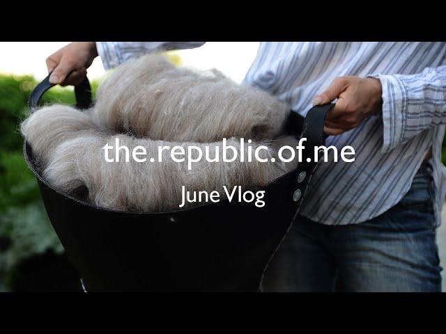 June VLOG / Road trip to Akamas Peninsula & Portobello Mouse fiber and yarn